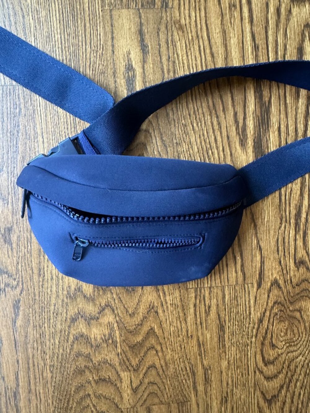 Fanny Pack/Cross Body Bag